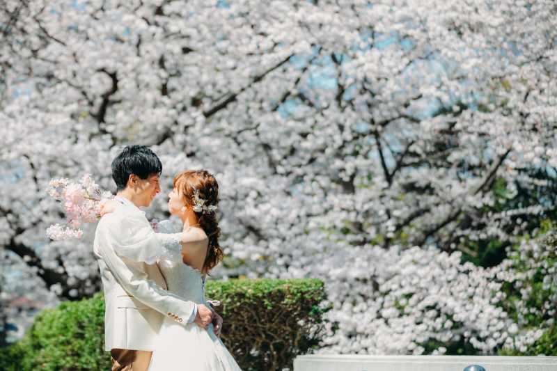 春の撮影ご予約お早めに!