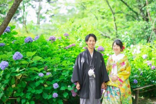 紫陽花
