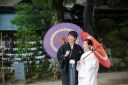 滋賀【白髭神社・メタセコイア並木】