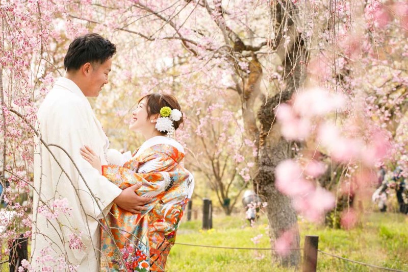 *桜の開花予想*