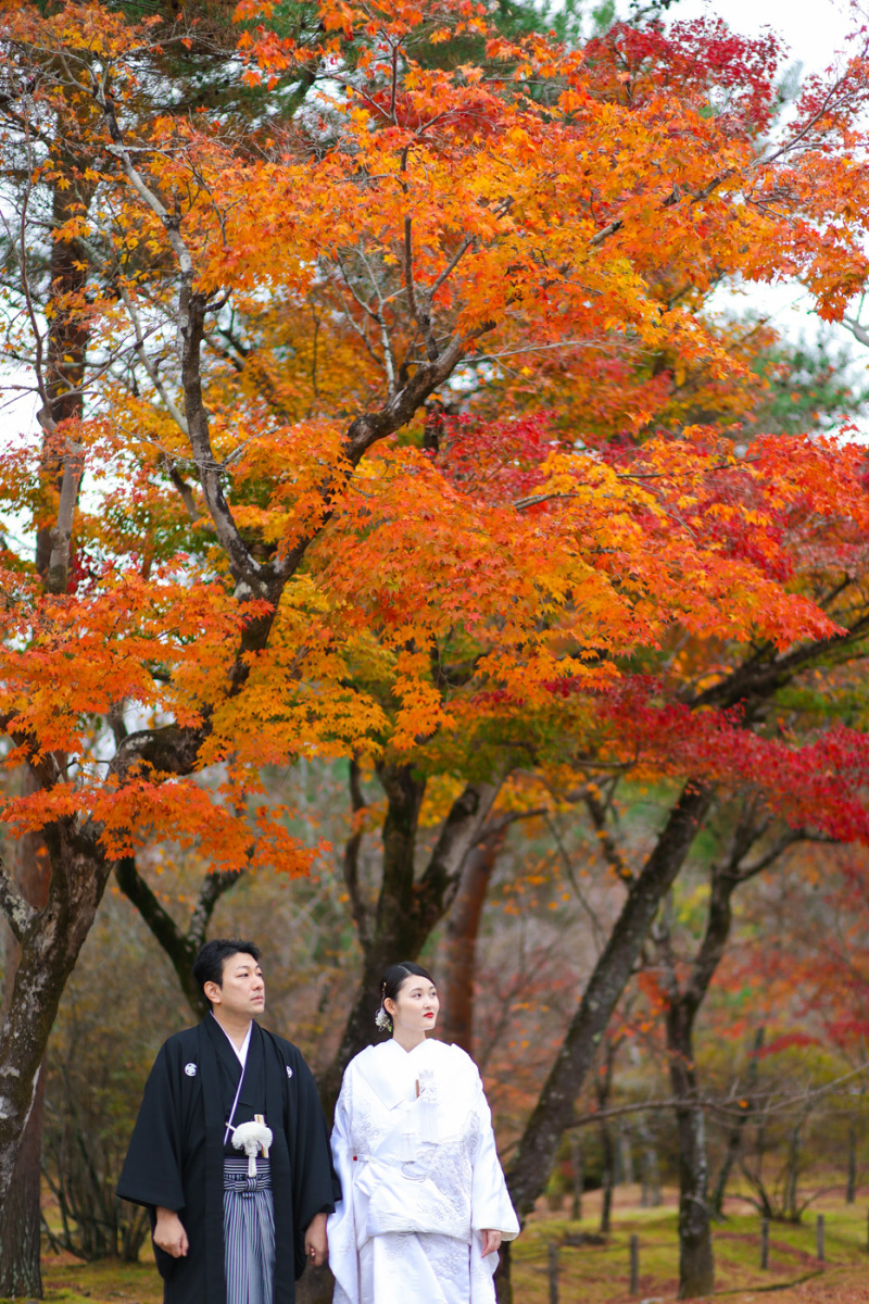 緑から朱へ―紅葉が紡ぐ季節のグラデーション