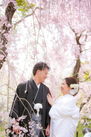 枝垂れ桜