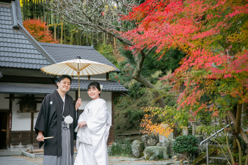 緑から朱へ―紅葉が紡ぐ季節のグラデーション