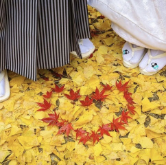 秋のおススメショット