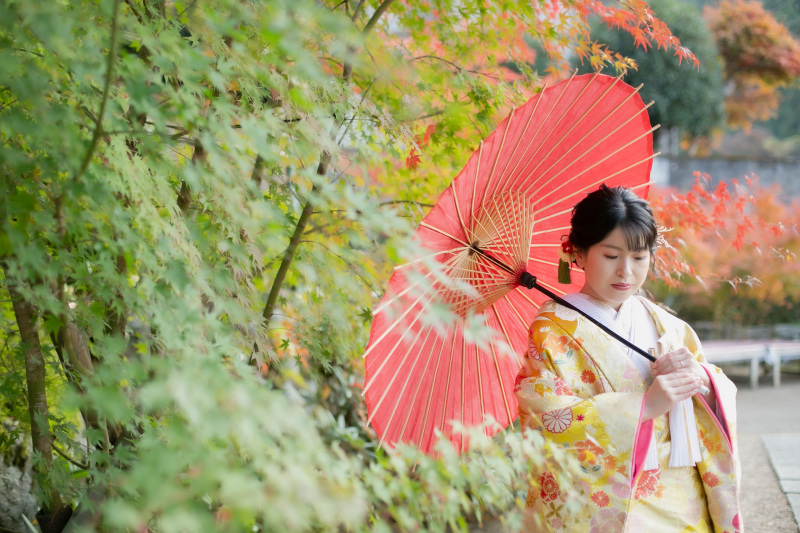 お客様のご着用衣裳「1125 千鳥草花紋様（ハニーウェディング）」
