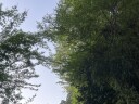 夏の暑さ対策について