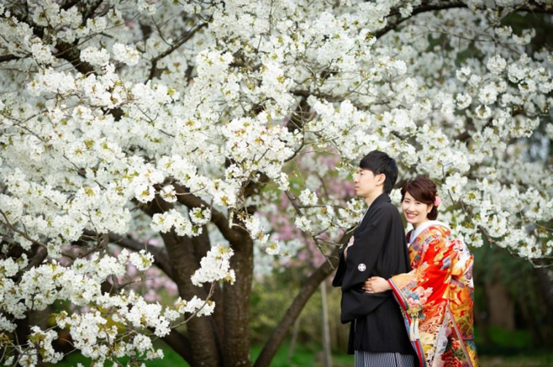 桜の木の下で