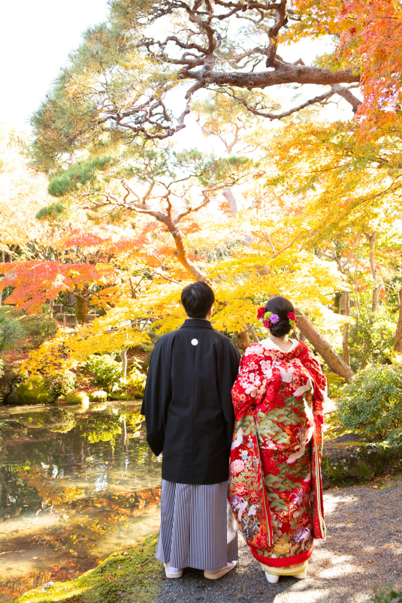 お客様のご着用衣裳「1116 織物赤地四季花鳥 」