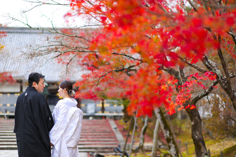 緑から朱へ―紅葉が紡ぐ季節のグラデーション