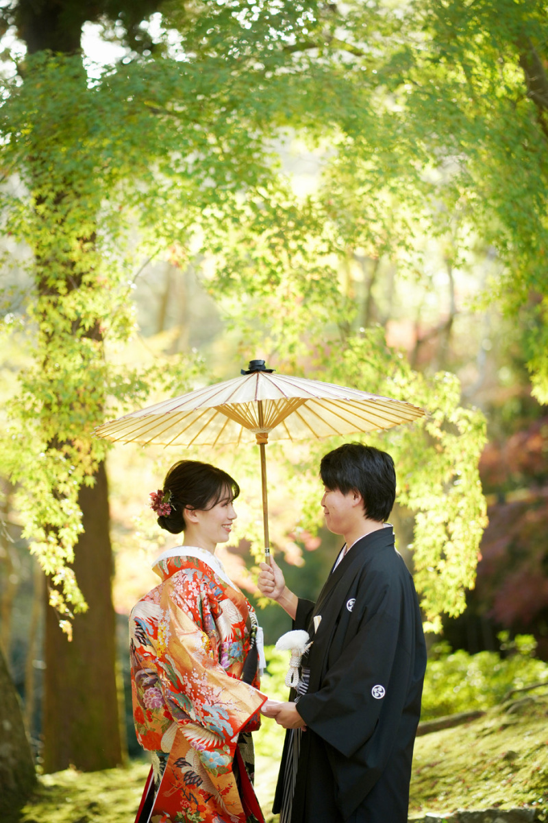 緑から朱へ―紅葉が紡ぐ季節のグラデーション