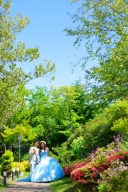 自然の中での撮影がゆりが丘でのフォトウェディングで一番の魅力！