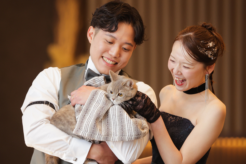 珍しく猫ちゃんと
