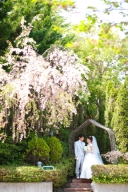 今年の桜は4月上旬！