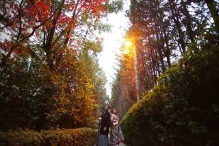 11月も20%offのキャンペーン継続決定！