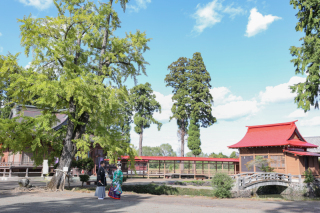 神社でロケーションフォト