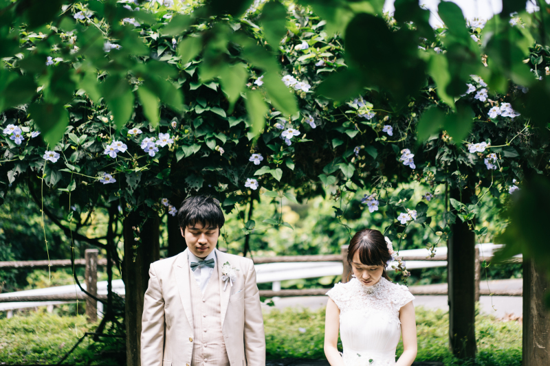 ＊＊＊グリーンフォト＊＊＊