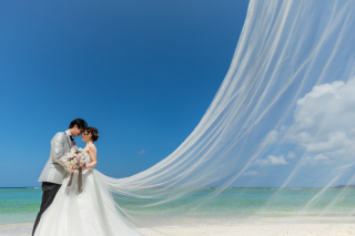 ★フォトプランのドレスについて★