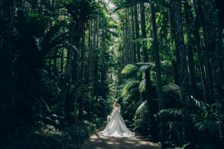 ★フォトプランのお問合せ・ご予約の流れについて★