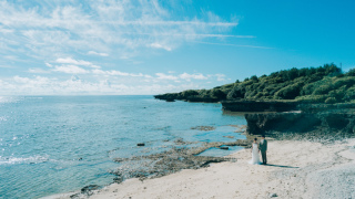 ***ダイナミックなドローンフォト***