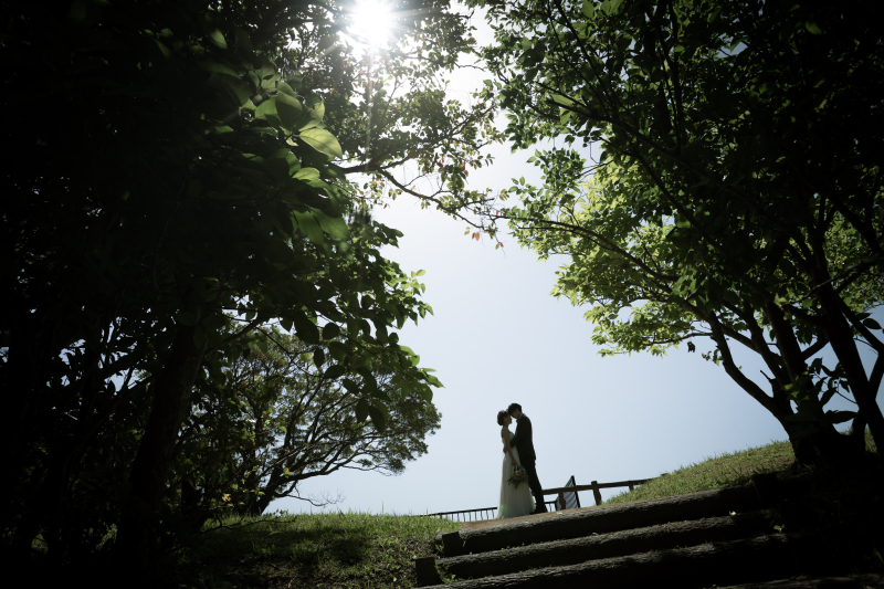 ***グリーンフォト***