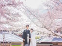 春のロケーション撮影♬