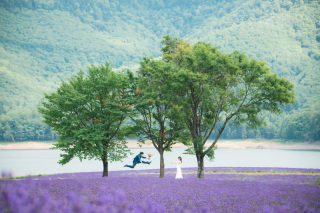 北海道らしさ全開の景色は美瑛・富良野で決まり✨!