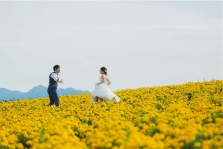 ラベンダーだけじゃない！富良野のお花で華やかなロケーションフォト♪
