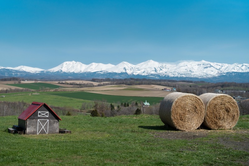 2026年冬美瑛営業まもなく終了