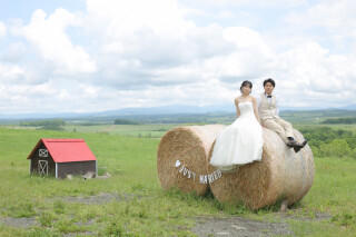 動物たちと一緒に楽しめる長閑な牧場フォト