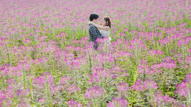 北海道の大自然で叶える、とっておきの結婚写真を