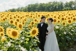 ラベンダーが終わっても北海道は終わらない！8月のお花畑フォト