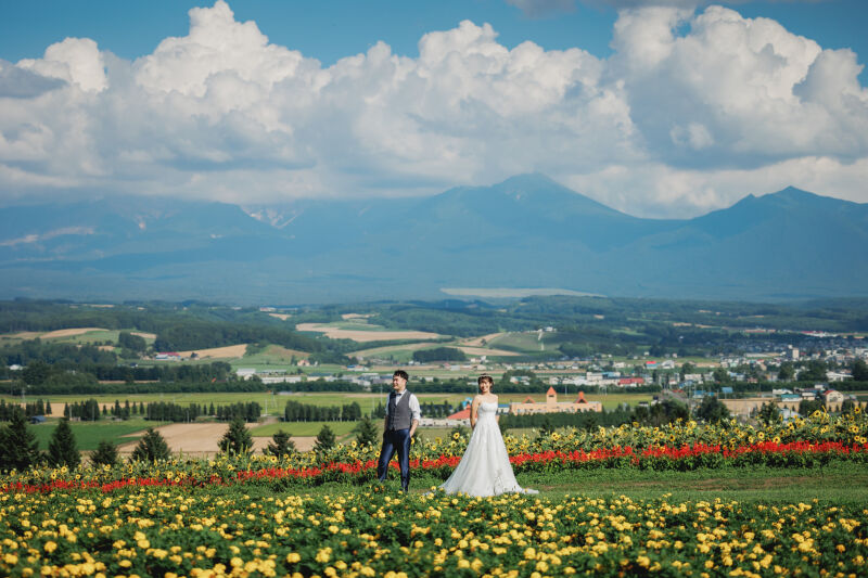 夏の北海道旅行に!美瑛の花畑が見ごろな8月^^
