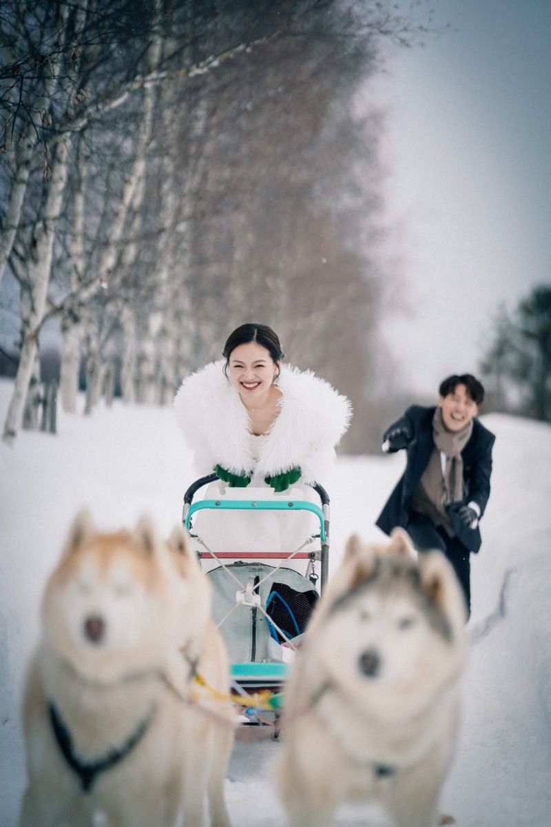 雪景色だけじゃない!冬の美瑛で出会える動物たち
