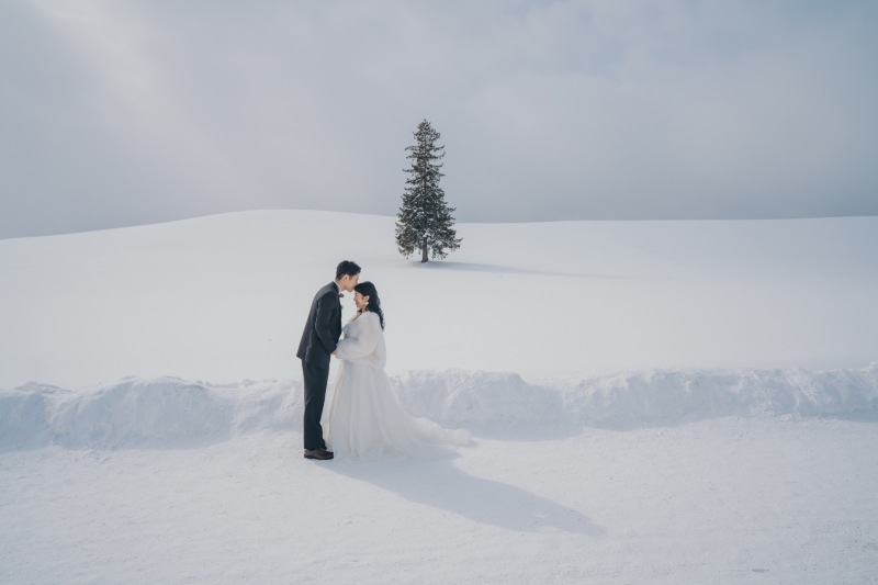 今年の冬は、雪の美瑛でロケーションフォト!