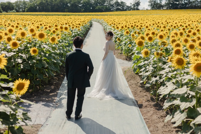 ラベンダーが終わっても北海道は終わらない!8月のお花畑フォト
