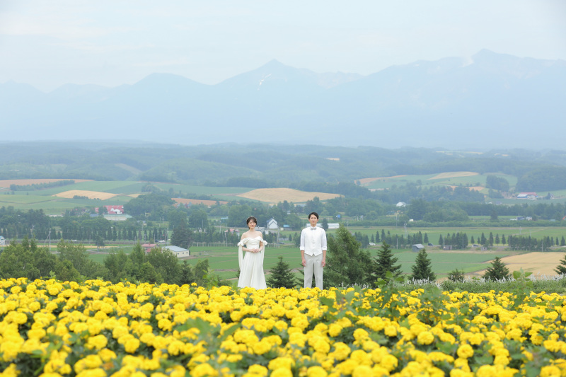 今夏 一 番の思い出を富良野・美瑛で一緒にお作りしませんか??