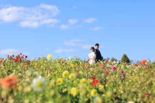 9月撮影で快適なロケーションフォトを♬