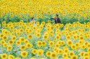2024年のご予約も承り中です!