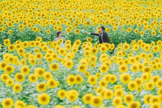 2024年のご予約も承り中です!