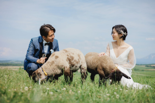 のどかな牧場で撮影するなら6月がオススメ