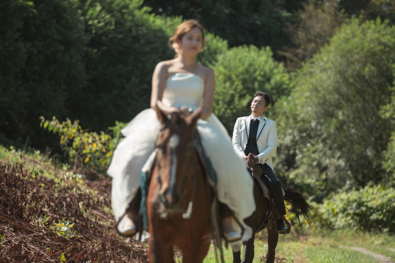 クラークホースで乗馬体験×ウェディングフォトを!!