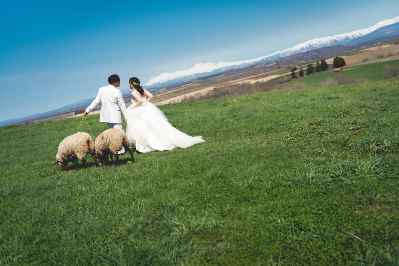 2026年冬美瑛営業まもなく終了