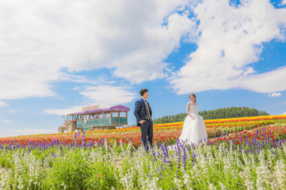 8月が見頃!四季彩の丘とフラワーランドでカラフルなウェディングフォト