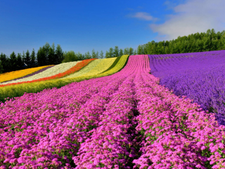 SOLA撮影の楽しみ方 〜2泊3日で北海道旅行！DAY3〜