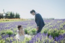 8月の美瑛・富良野のお花畑を大 特 集〜♡
