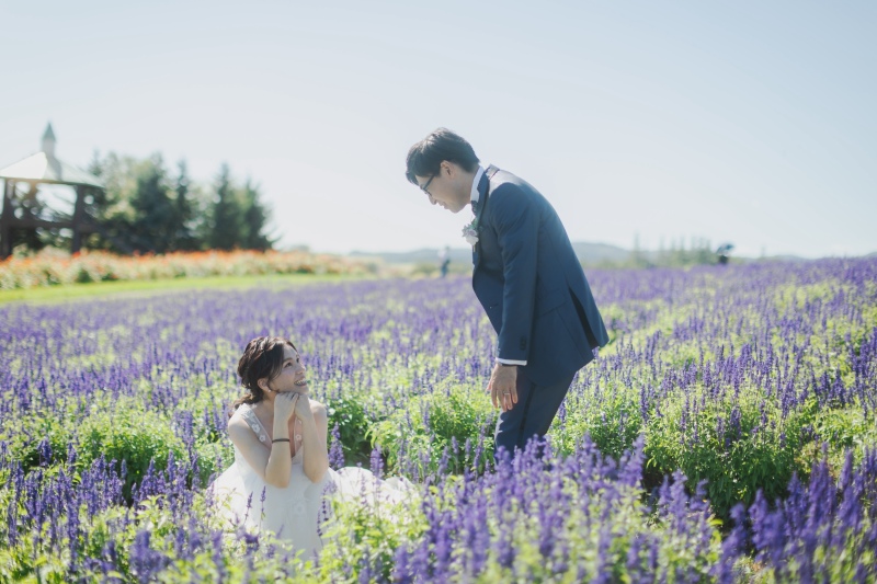8月の美瑛・富良野のお花畑を大 特 集〜♡