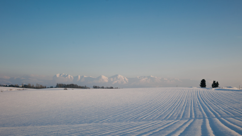 2026年冬美瑛営業まもなく終了