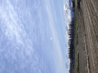 春が待ち遠しい