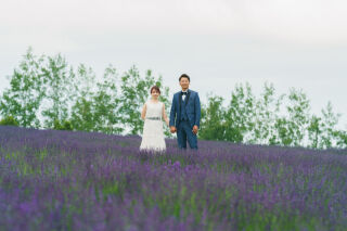 6月の美瑛は花畑も充実！！多彩の花畑で撮影しませんか！？