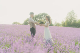 ラベンダー撮影ご予約残り僅かです!!